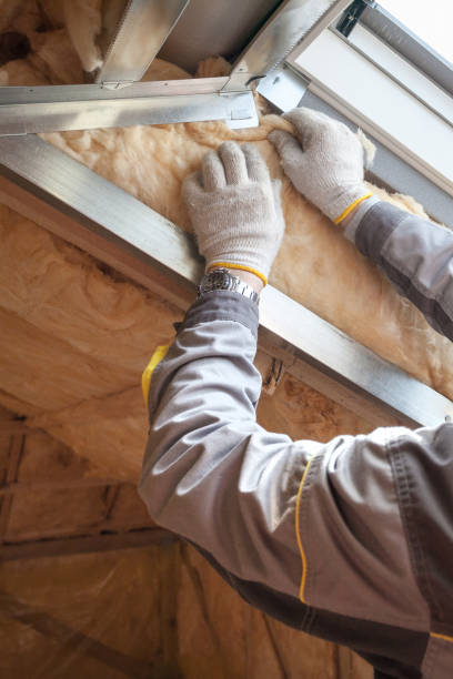Best Eco-Friendly Insulation in Enterprise, NV